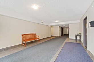 3540 Peter St in Windsor, ON - Building Photo - Building Photo