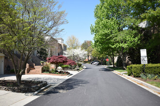 10910 Bloomingdale Dr in Rockville, MD - Foto de edificio - Building Photo