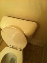 243 F St in Los Banos, CA - Building Photo - Building Photo