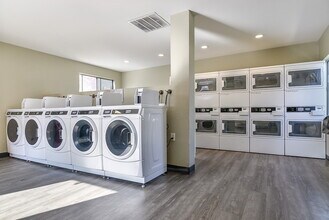 Bonita Cedars in Bonita, CA - Building Photo - Building Photo