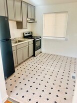 8721 Natural Bridge Rd in St. Louis, MO - Building Photo