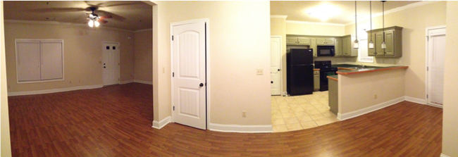 164 Foreman Dr in Athens, GA - Building Photo - Building Photo