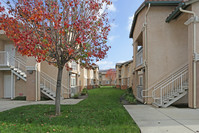 Lindsay Family Apartments in Lindsay, CA - Building Photo - Building Photo