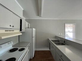 242 Georgia Ave in Statesboro, GA - Building Photo