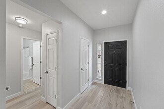 3529 Shiraz Loop in Round Rock, TX - Building Photo - Building Photo