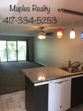 34 Golfshores Dr in Branson, MO - Building Photo - Building Photo