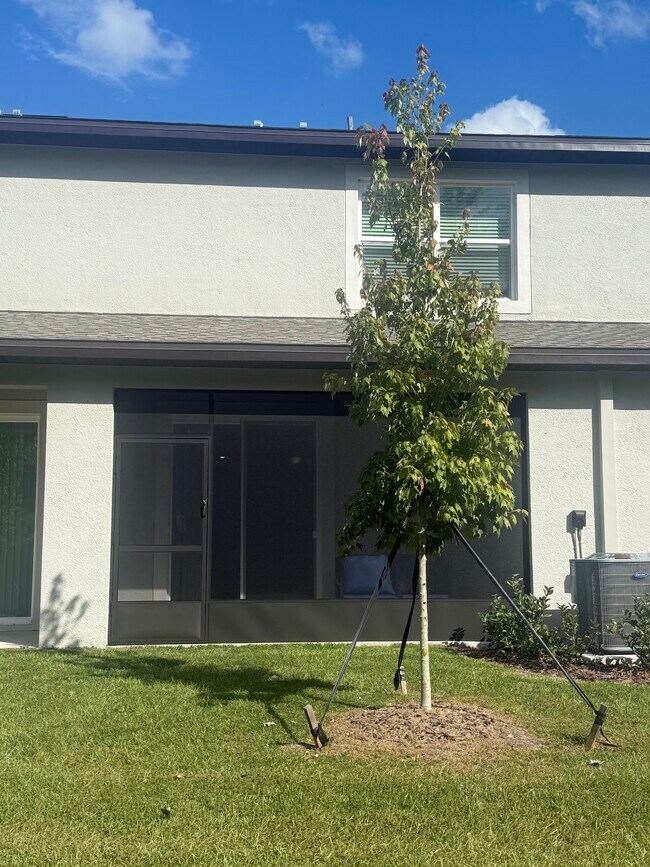 11143 Wishing Cloud Rd in Land O Lakes, FL - Building Photo - Building Photo