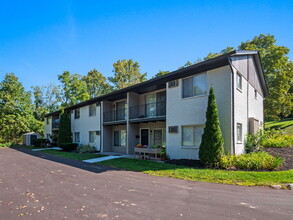 Milford Village Flats in Milford, MI - Building Photo - Building Photo