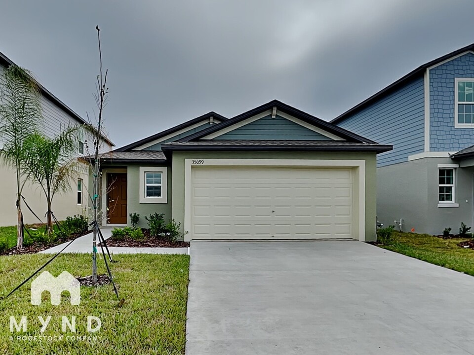 35099 Ackley Trce in Zephyrhills, FL - Building Photo