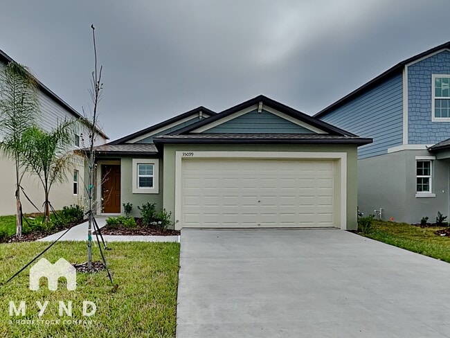 35099 Ackley Trce