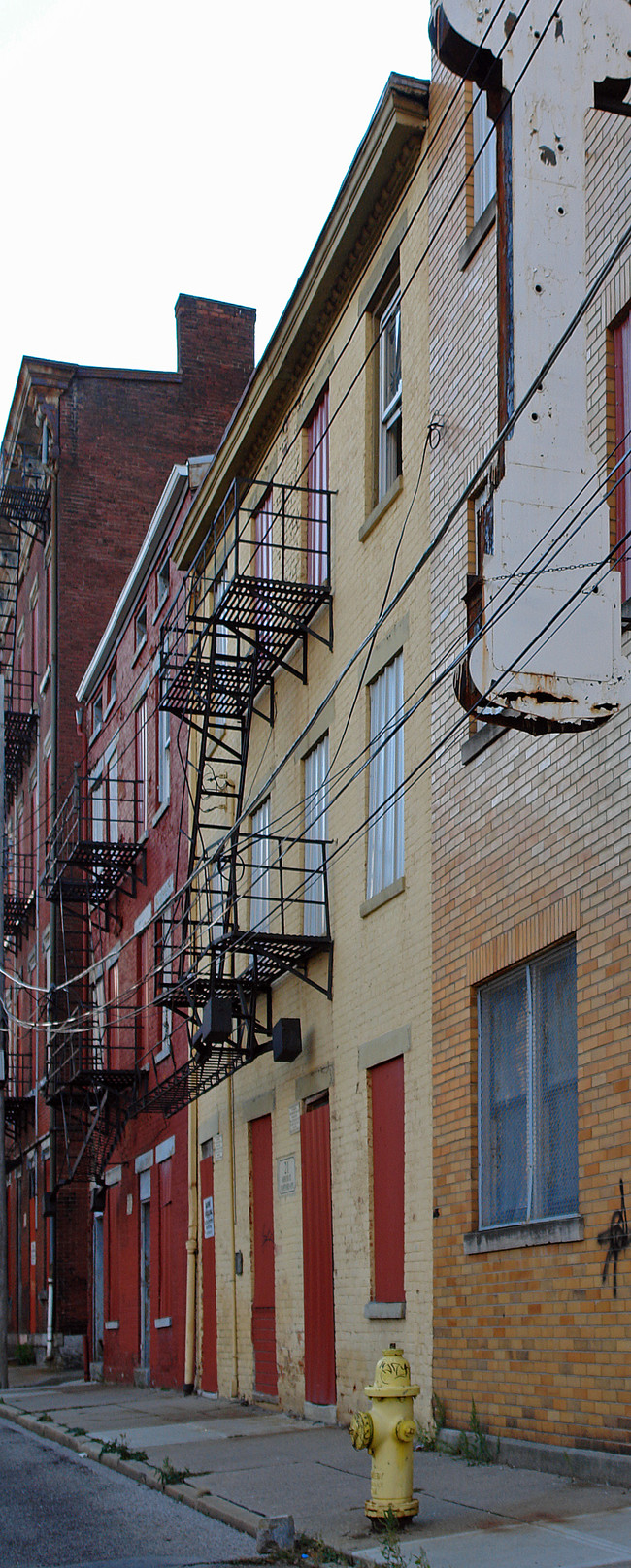 19 Mercer St in Cincinnati, OH - Building Photo - Building Photo