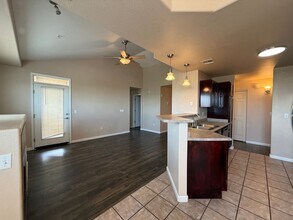 555 Cougar Bluff Point in Colorado Springs, CO - Building Photo - Building Photo
