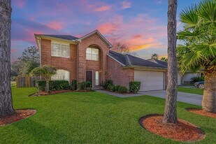 11830 Hueco Tanks Dr in Sugar Land, TX - Building Photo