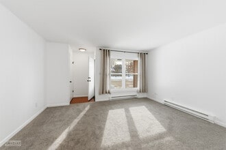 105 W Somonauk St in Yorkville, IL - Building Photo - Building Photo