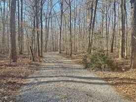 175 Ridgeway Ct in Senoia, GA - Building Photo