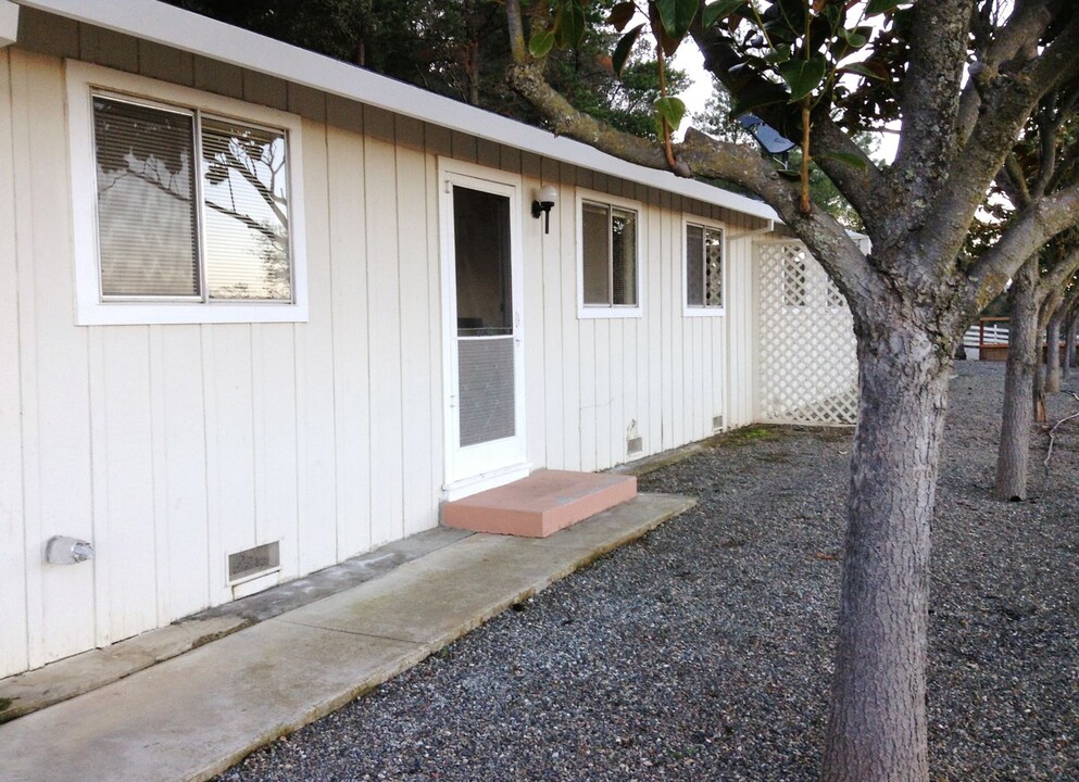 18018 Cienega Rd in Paicines, CA - Building Photo