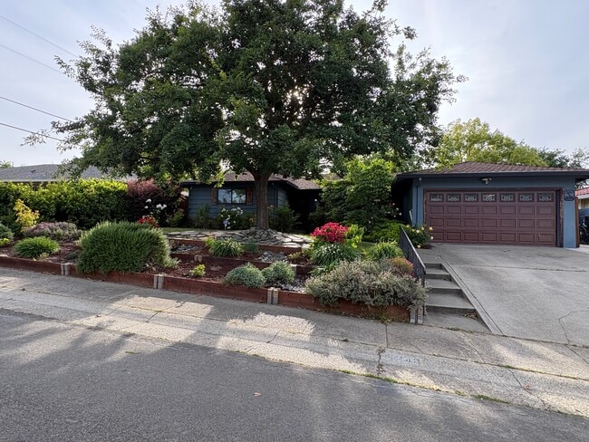 6048 Holstein Way
