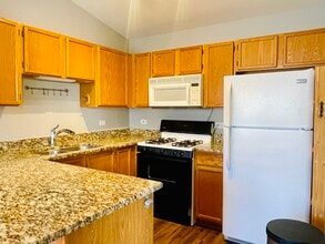 1179 N Village Dr in Round Lake Beach, IL - Building Photo - Building Photo