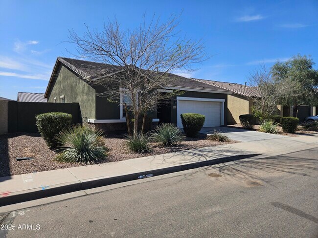 36905 W Mattino Ln in Maricopa, AZ - Building Photo - Building Photo