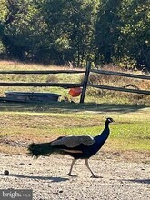 7606 Woodyard Rd in Clinton, MD - Foto de edificio - Building Photo