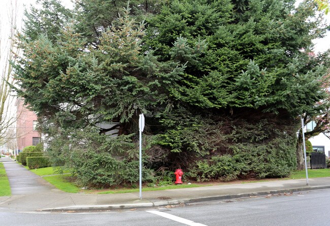 2664 Birch St in Vancouver, BC - Building Photo - Building Photo