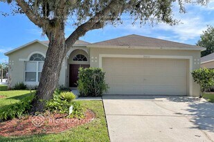 24833 Mary Beth Ct in Land O Lakes, FL - Building Photo