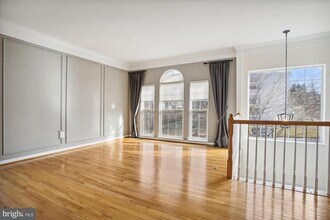 8427 Carmela Cir in Springfield, VA - Building Photo - Building Photo