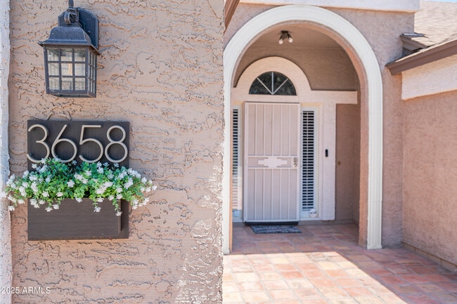 3658 W Cindy St in Chandler, AZ - Building Photo - Building Photo