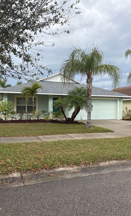 1914 Peaceful Palm St in Ruskin, FL - Building Photo