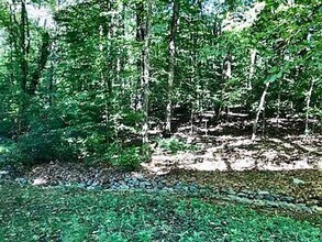 4916 Gold Crest Dr in Oak Ridge, NC - Building Photo - Building Photo