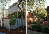 Morse Court Apartments in Sunnyvale, CA - Foto de edificio - Building Photo