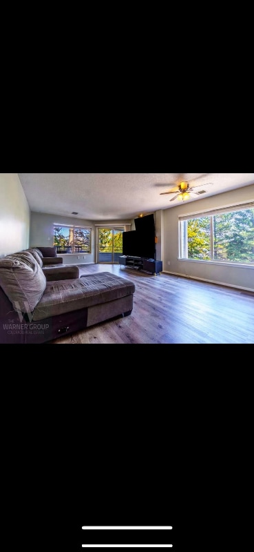 property at 3684 Iguana Dr