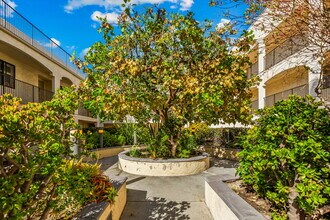 4545 Arizona St in San Diego, CA - Building Photo - Building Photo