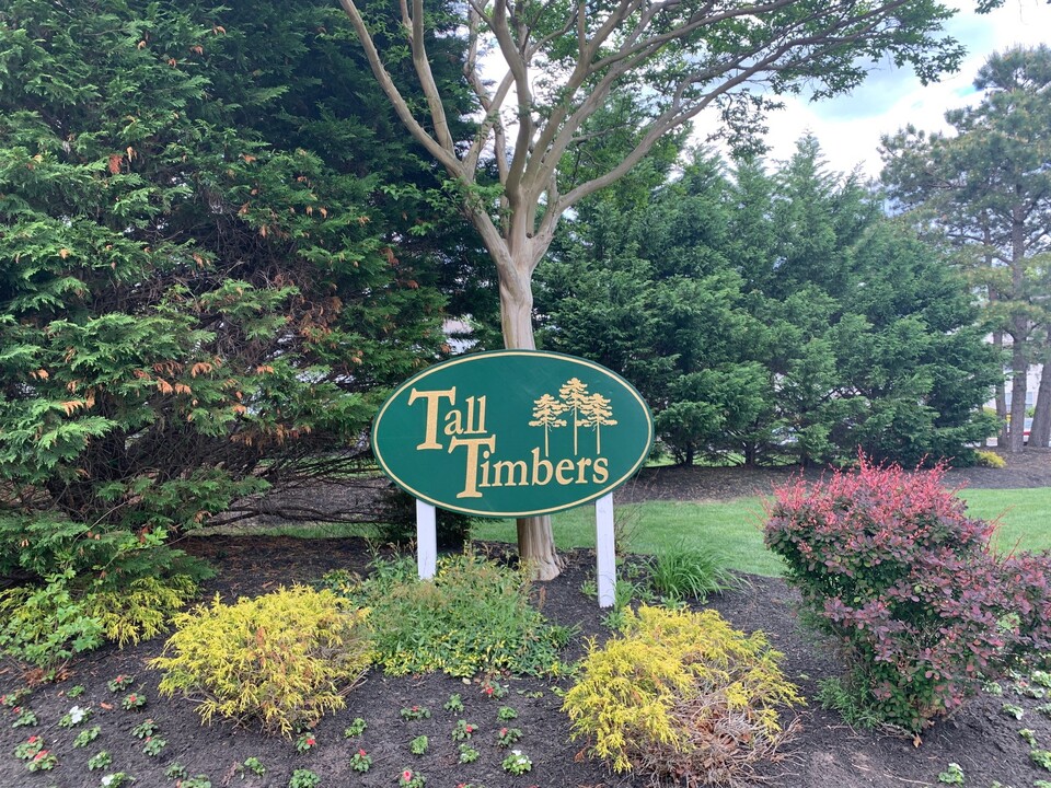 Tall Timber Apartments in Little Egg Harbor, NJ - Building Photo