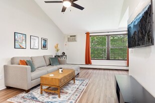 1011 11th Ave S in Hopkins, MN - Building Photo