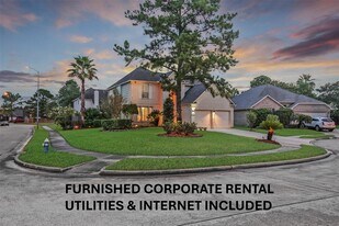 9514 Trailing Moss Dr in Houston, TX - Building Photo