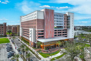 530 University Dr in Tampa, FL - Building Photo