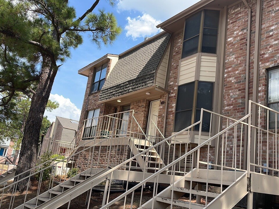 2019 Place Rebecca Ln in Houston, TX - Building Photo