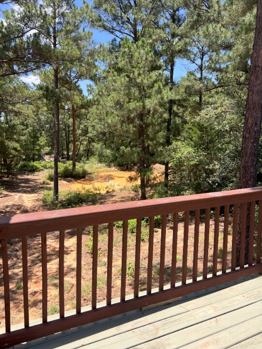 491 Pine Canyon Dr in Smithville, TX - Building Photo