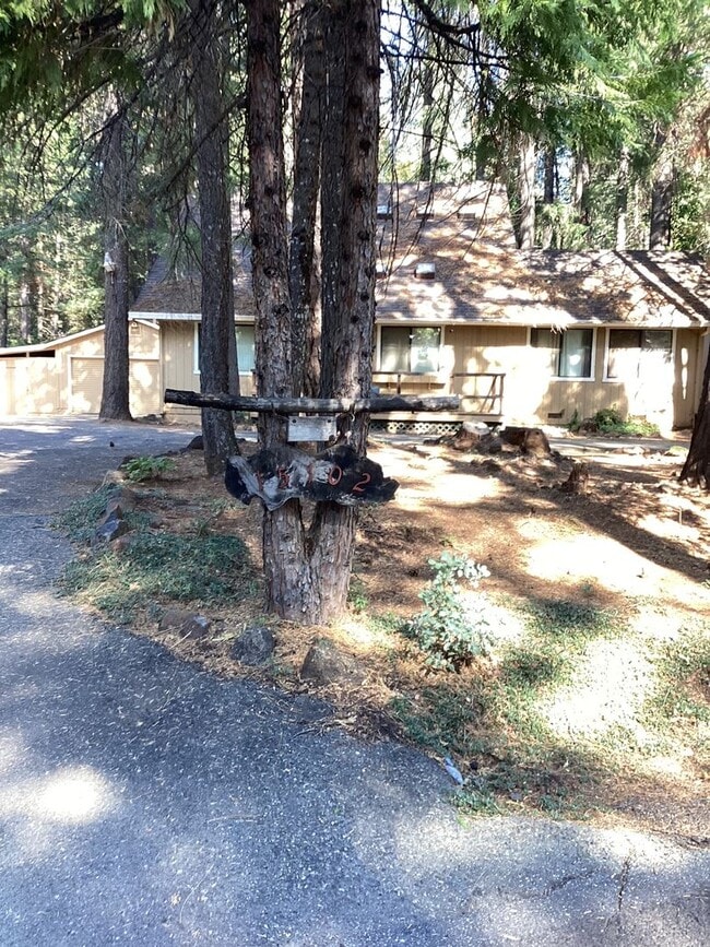 15102 Jack Pine Way in Magalia, CA - Building Photo - Building Photo