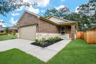 2022 W Darlington Oak Ct in Conroe, TX - Building Photo