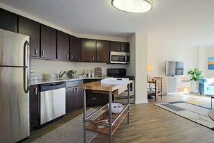 30 W Chestnut St in Chicago, IL - Building Photo