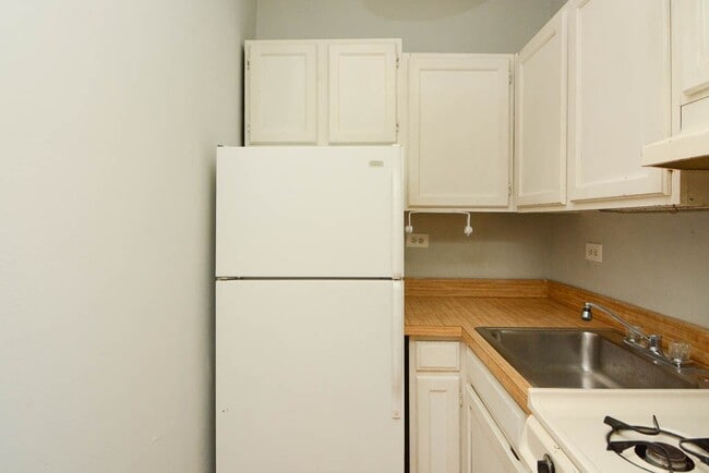 843 W Wolfram St, Unit A02W in Chicago, IL - Building Photo - Building Photo