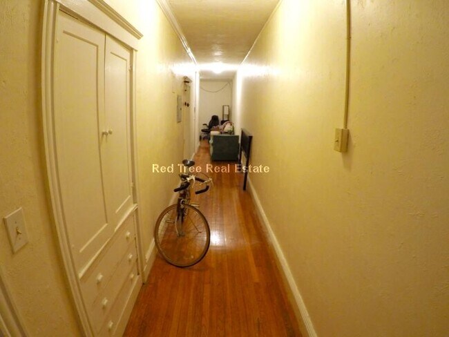 74 Egmont St, Unit 2 in Brookline, MA - Building Photo - Building Photo