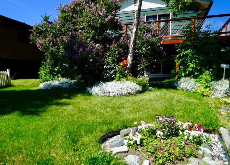 580 Waddell St in Homer, AK - Building Photo