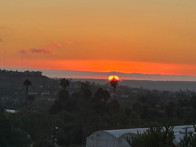 315 Osborne St in Vista, CA - Foto de edificio - Building Photo