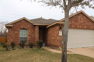 20410 Shiloh Mist Ln in Katy, TX - Building Photo