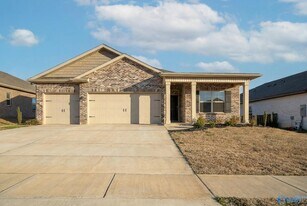 13216 New Foal Ln NW in Madison, AL - Building Photo