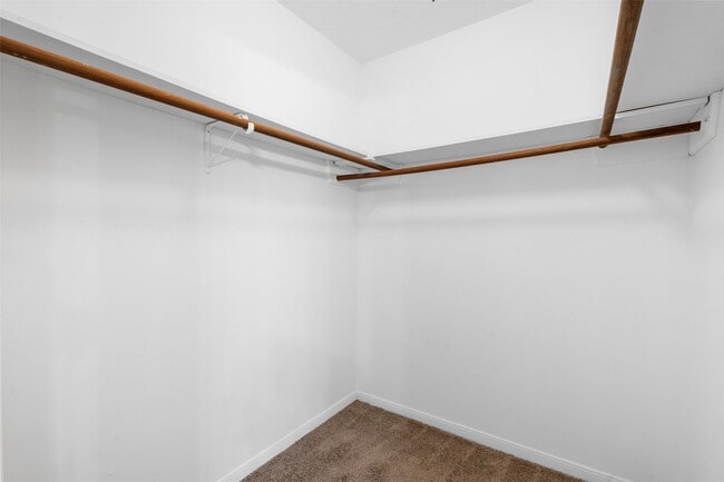 4106 Cypress Hill Dr