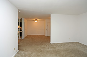 Springtree Apartments in Middleton, WI - Foto de edificio - Interior Photo